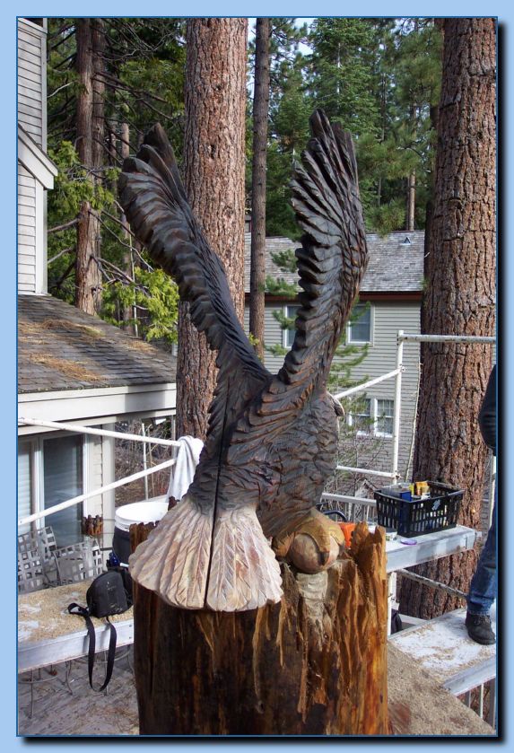2-13 eagle  perched, half-spread wings-archive-0001